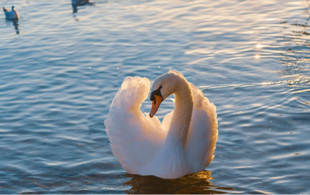 トイレ風水 熱海風水 グリーン