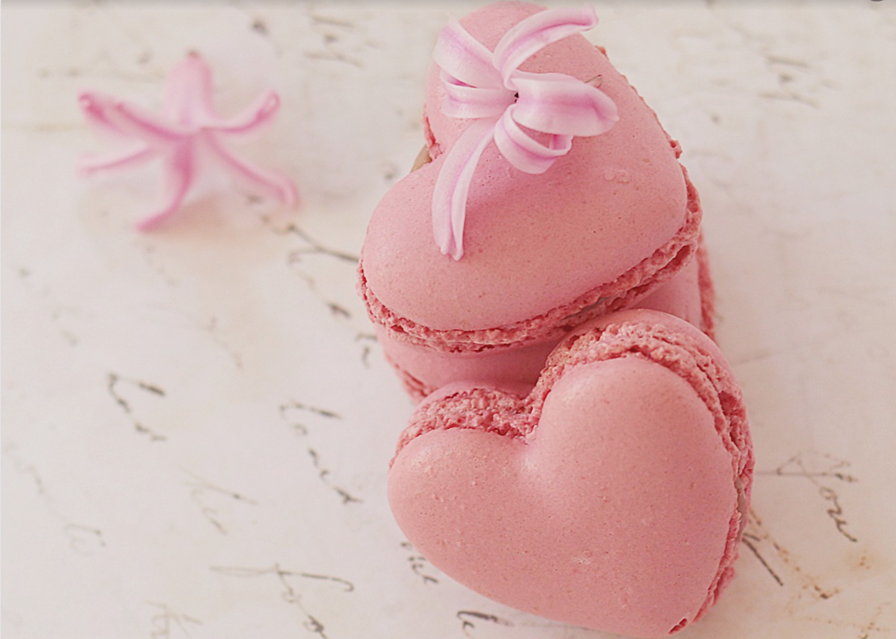 風水恋愛総まとめ2 風水恋愛最強 恋愛即効 恋愛部屋 やってはいけない風水恋愛運 熱海風水 グリーン